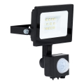 BRILAGI - LED Projektør med sensor ELARA ECO LED/10W/230V IP65