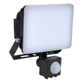 BRILAGI - LED Projektør med sensor ELARA PRO LED/10W/230V IP65