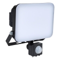BRILAGI - LED Projektør med sensor ELARA PRO LED/30W/230V IP65