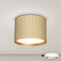 Brilagi - LED RGB+CCT dæmpbar spot STRIPY 1xGX53/14W/230V 2700-6500K Wi-Fi Tuya guldfarvet