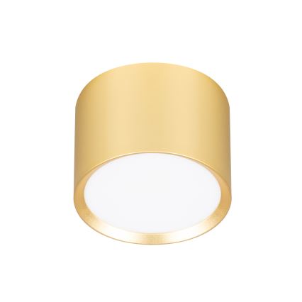 BRILAGI - LED RGB+CCT Dæmpbar spotlampe SMOOTH 1xGX53/14W/230V 60x82 mm 2700-6500K Wi-Fi Tuya guld