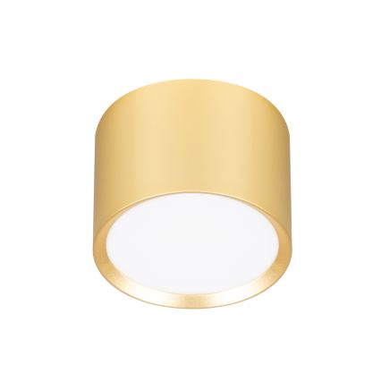 Brilagi - LED RGB+CCT Dæmpbar spotlampe SMOOTH 1xGX53/14W/230V 2700-6500K Wi-Fi Tuya guld