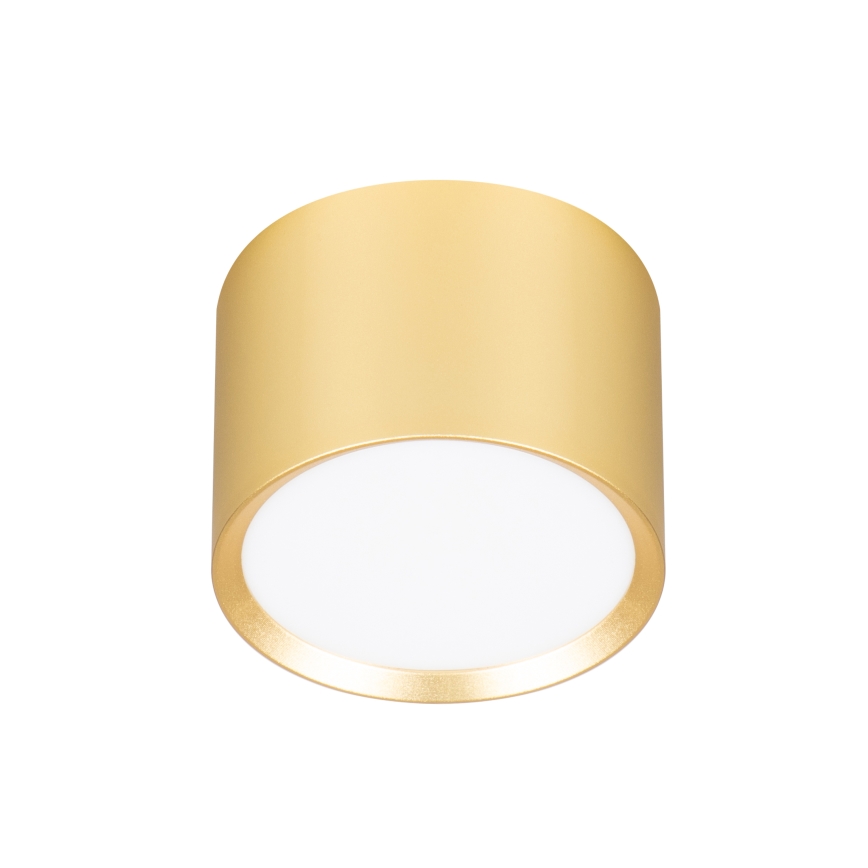 Brilagi - LED RGB+CCT Dæmpbar spotlampe SMOOTH 1xGX53/14W/230V 2700-6500K Wi-Fi Tuya guld