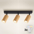 Brilagi - LED RGBW dæmpbar spot SELE MODERN 3xGU10/4,8W/230V 3000K guld + fjernbetjening