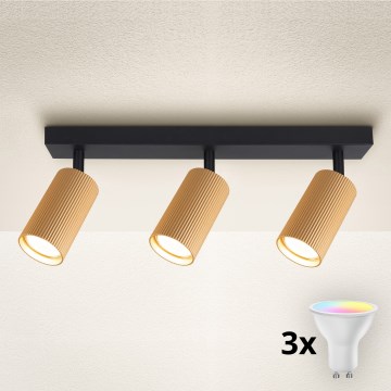 Brilagi - LED RGBW dæmpbar spot SELE MODERN 3xGU10/6W/230V 3000K guld + fjernbetjening