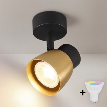 Brilagi - LED RGBW dæmpbar spotarmatur NUGGET 1xGU10/4,8W/230V sort/guld