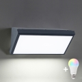 Brilagi - LED RGBW dæmpbar udendørs væglampe TRIANGLE 1xE27/9W/230V 2700-6500K IP65 antracit