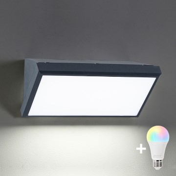 Brilagi - LED RGBW dæmpbar udendørs væglampe TRIANGLE 1xE27/9W/230V 2700-6500K IP65 antracit