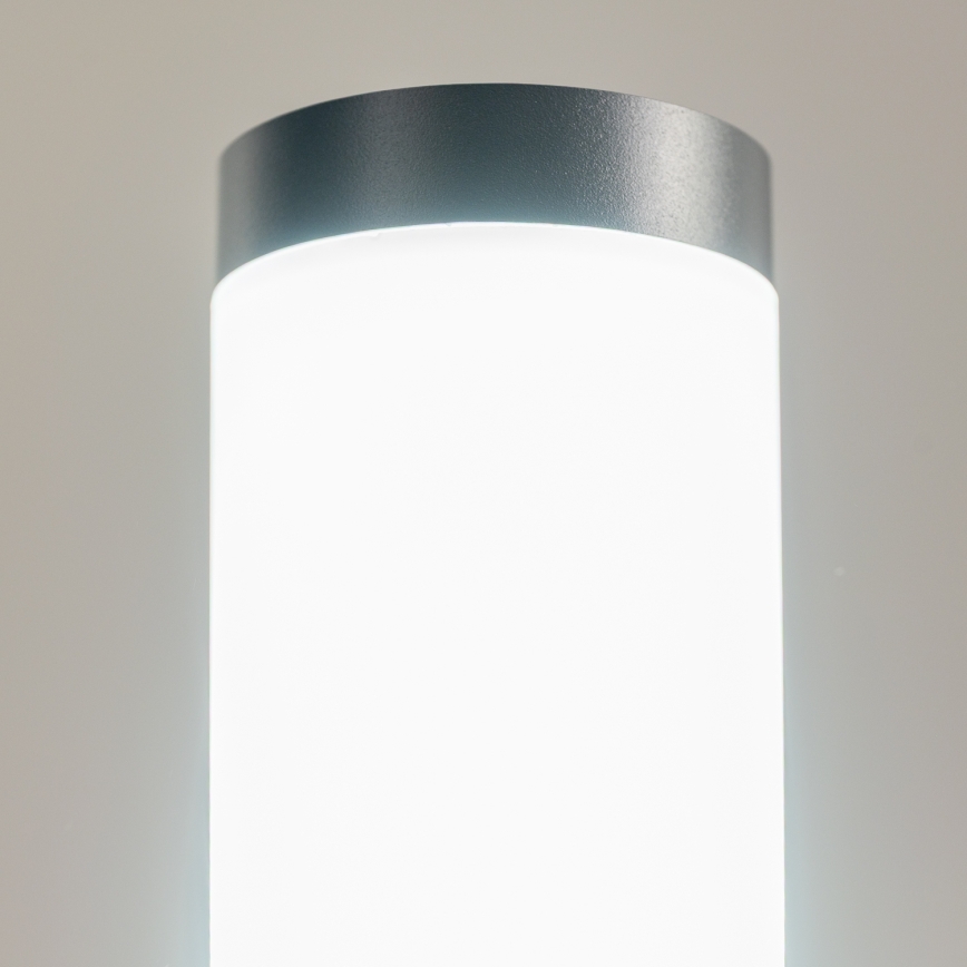 BRILAGI - LED RGBW dæmpbar udendørslampe ELIA 1xE27/6,5W/230V 2700-6500K IP44 Wi-Fi 50 cm antracit