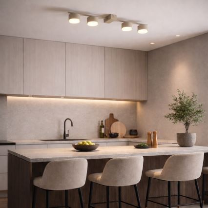 Brilagi - LED spotarmatur MONO 4xGX53/30W/230V beige