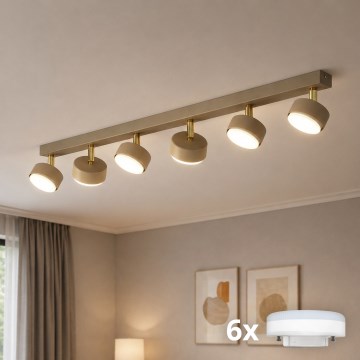 Brilagi - LED-spotarmatur MONO 6xGX53/30W/230V beige/guld