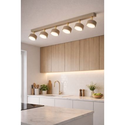 Brilagi - LED-spotarmatur MONO 6xGX53/30W/230V beige/guld