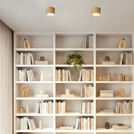 Brilagi - LED Spotarmatur STRIPY 1xGX53/15W/230V guld