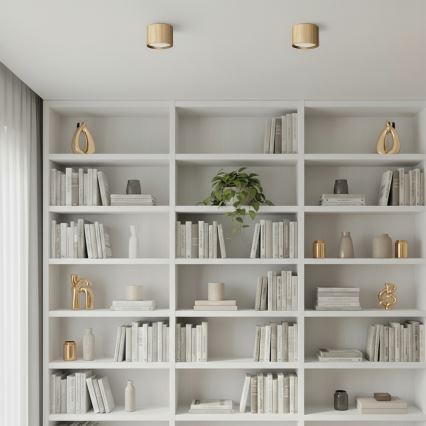 Brilagi - LED Spotarmatur STRIPY 1xGX53/15W/230V guld