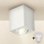 Brilagi - LED Spotlampe MIA 1xGU10/30W/230V 100x80 mm hvid