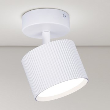 Brilagi - LED Spotlampe STRIPY 1xGX53/15W/230V hvid