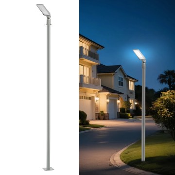 Brilagi - LED udendørs gadelampe med stolpe og justerbart led 3 m URBANLIGHT LED/50W/230V grå IP65