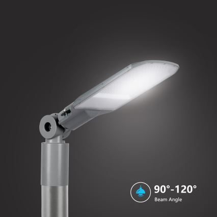 Brilagi - LED udendørs gadelampe URBANLIGHT LED/100W/230V grå IP65