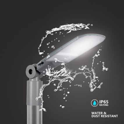 Brilagi - LED udendørs gadelampe URBANLIGHT LED/100W/230V grå IP65