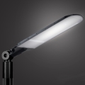 Brilagi - LED udendørs gadelampe URBANLIGHT LED/250W/230V sort IP65