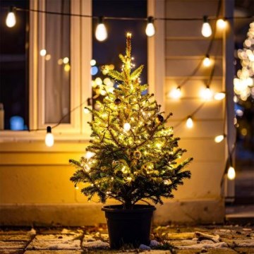 Brilagi - LED udendørs juleguirlande 10xLED/3xAA 3,2m IP44 varm hvid