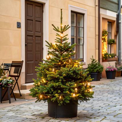 Brilagi - LED udendørs juleguirlande 10xLED/3xAA 3,2m IP44 varm hvid