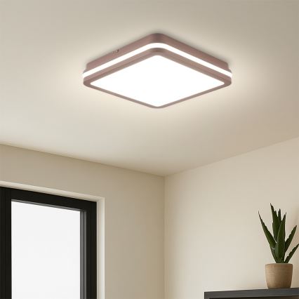 Brilagi - LED udendørs loftlampe med sensor BENE LED/24W/230V 26x26 cm brun IP54