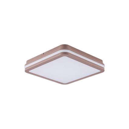 Brilagi - LED udendørs loftlampe med sensor BENE LED/24W/230V 26x26 cm brun IP54