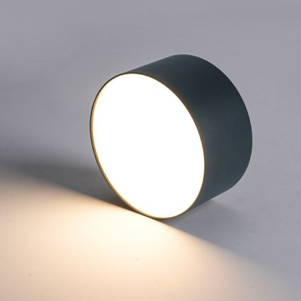 BRILAGI - LED Udendørs loftlampe FORIS LED/20W/230V Ø 15 cm antracit IP44