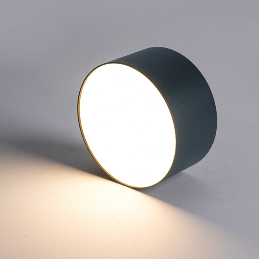 BRILAGI - LED Udendørs loftlampe FORIS LED/20W/230V Ø 15 cm antracit IP44