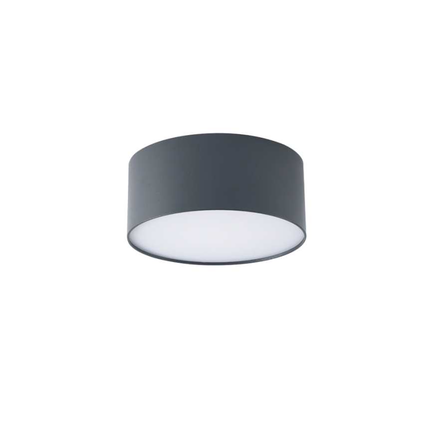 BRILAGI - LED Udendørs loftlampe FORIS LED/20W/230V Ø 15 cm antracit IP44