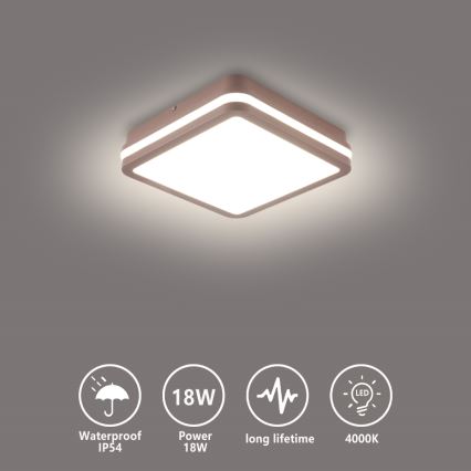 Brilagi - LED udendørs loftlampe BENE LED/18W/230V 21,5x21,5 cm brun IP54