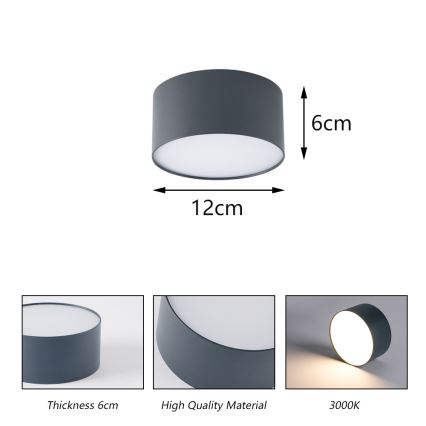BRILAGI - LED Udendørs loftlampe FORIS LED/14W/230V Ø 12 cm antracit IP44