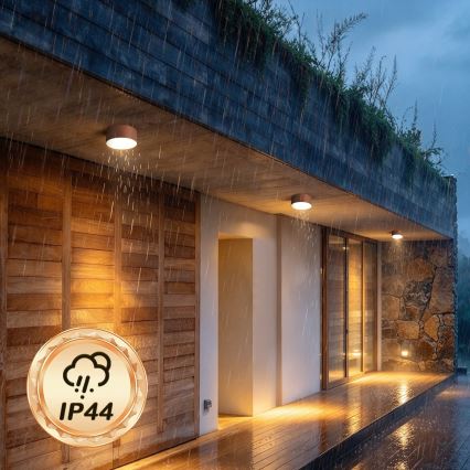 BRILAGI - LED Udendørs loftlampe FORIS LED/14W/230V Ø 12 cm bronzefarvet IP44