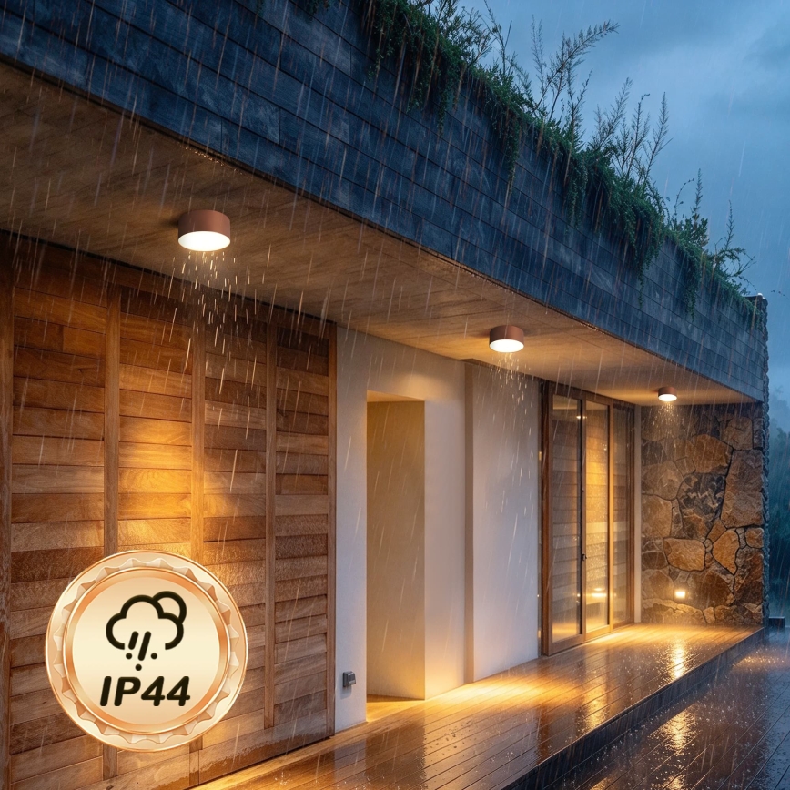 BRILAGI - LED Udendørs loftlampe FORIS LED/14W/230V Ø 12 cm bronzefarvet IP44