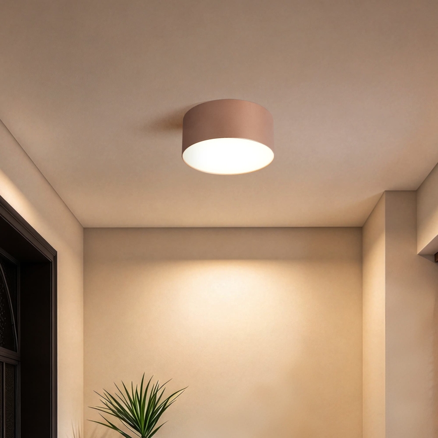 BRILAGI - LED Udendørs loftlampe FORIS LED/14W/230V Ø 12 cm bronzefarvet IP44