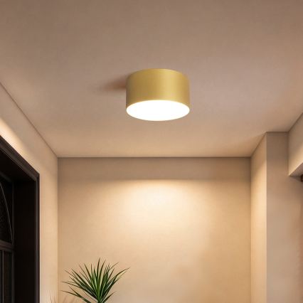 BRILAGI - LED udendørs loftlampe FORIS LED/14W/230V Ø 12 cm guld IP44