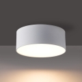 BRILAGI - LED udendørs loftlampe FORIS LED/14W/230V Ø 12 cm hvid IP44