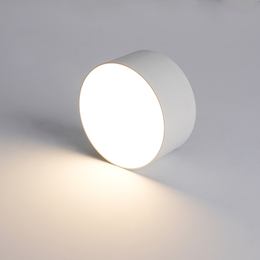 BRILAGI - LED udendørs loftlampe FORIS LED/14W/230V Ø 12 cm hvid IP44
