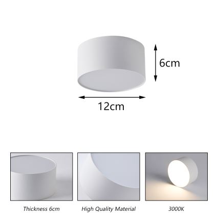 BRILAGI - LED udendørs loftlampe FORIS LED/14W/230V Ø 12 cm hvid IP44