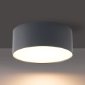 BRILAGI - LED Udendørs loftlampe FORIS LED/20W/230V Ø 15 cm antracit IP44
