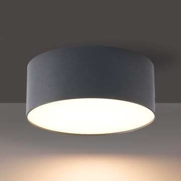 BRILAGI - LED Udendørs loftlampe FORIS LED/20W/230V Ø 15 cm antracit IP44