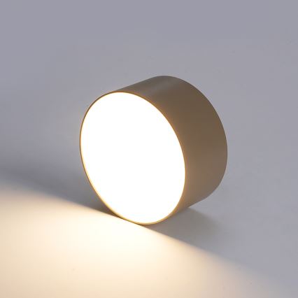 BRILAGI - LED Udendørs loftlampe FORIS LED/20W/230V Ø 15 cm beige IP44