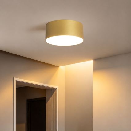 BRILAGI - LED Udendørs loftlampe FORIS LED/20W/230V Ø 15 cm guld IP44