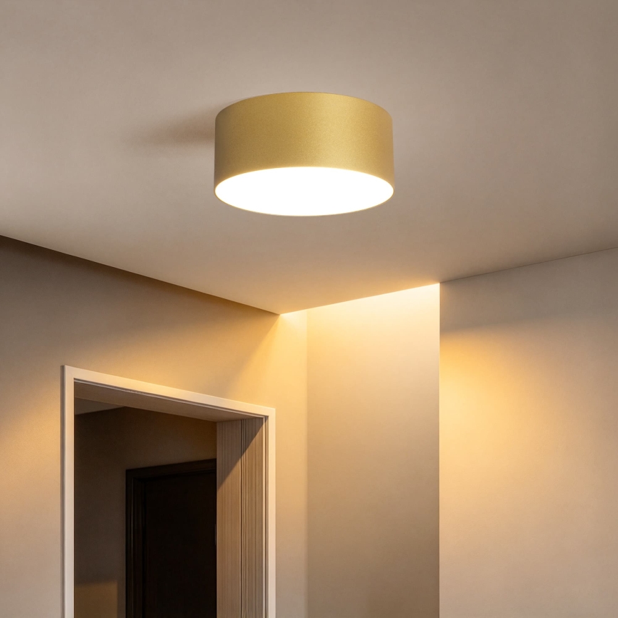 BRILAGI - LED Udendørs loftlampe FORIS LED/20W/230V Ø 15 cm guld IP44