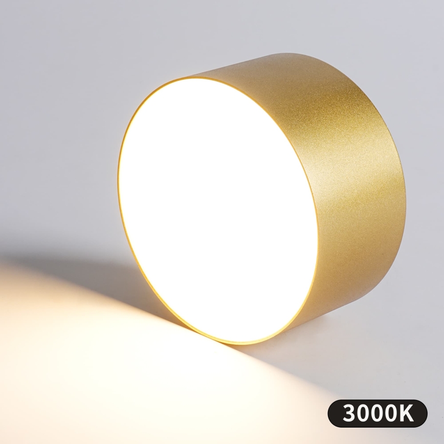 BRILAGI - LED Udendørs loftlampe FORIS LED/20W/230V Ø 15 cm guld IP44