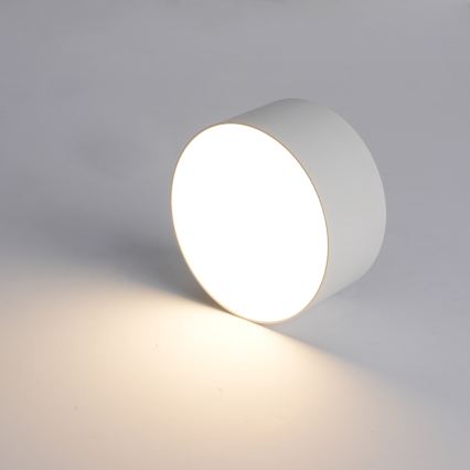 BRILAGI - LED udendørs loftlampe FORIS LED/20W/230V Ø 15 cm hvid IP44