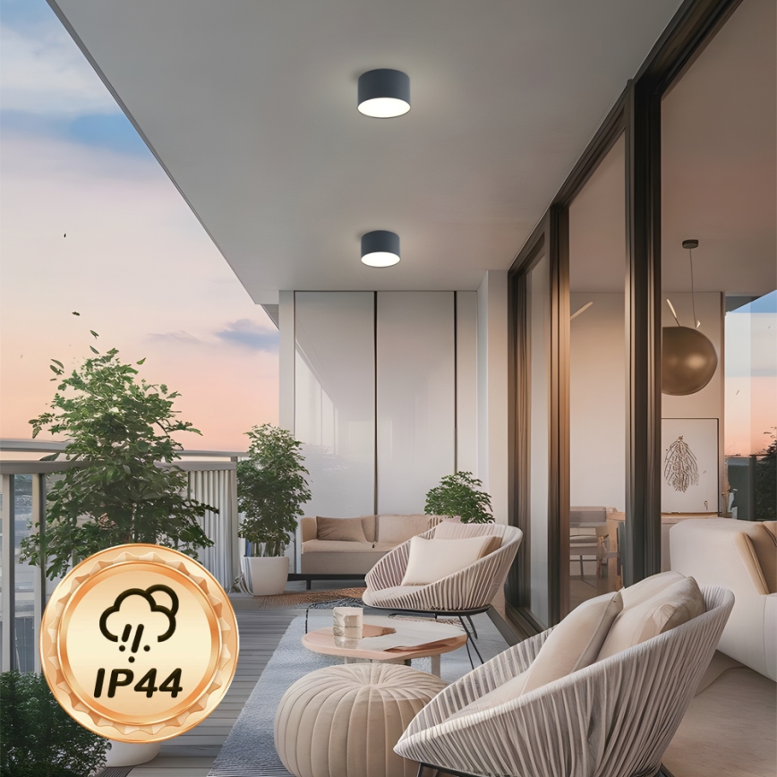 BRILAGI - LED Udendørs loftlampe FORIS LED/9W/230V Ø 9 cm antracit IP44