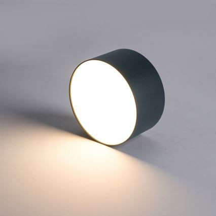 BRILAGI - LED Udendørs loftlampe FORIS LED/9W/230V Ø 9 cm antracit IP44