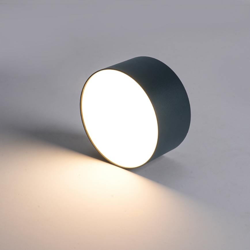 BRILAGI - LED Udendørs loftlampe FORIS LED/9W/230V Ø 9 cm antracit IP44